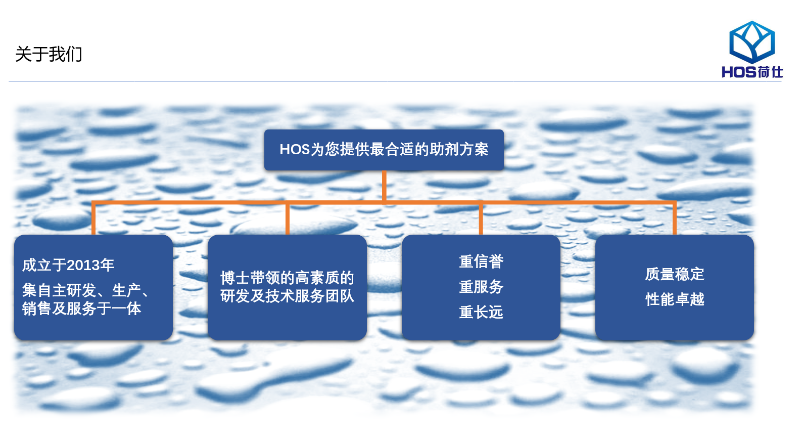 关于荷仕.png